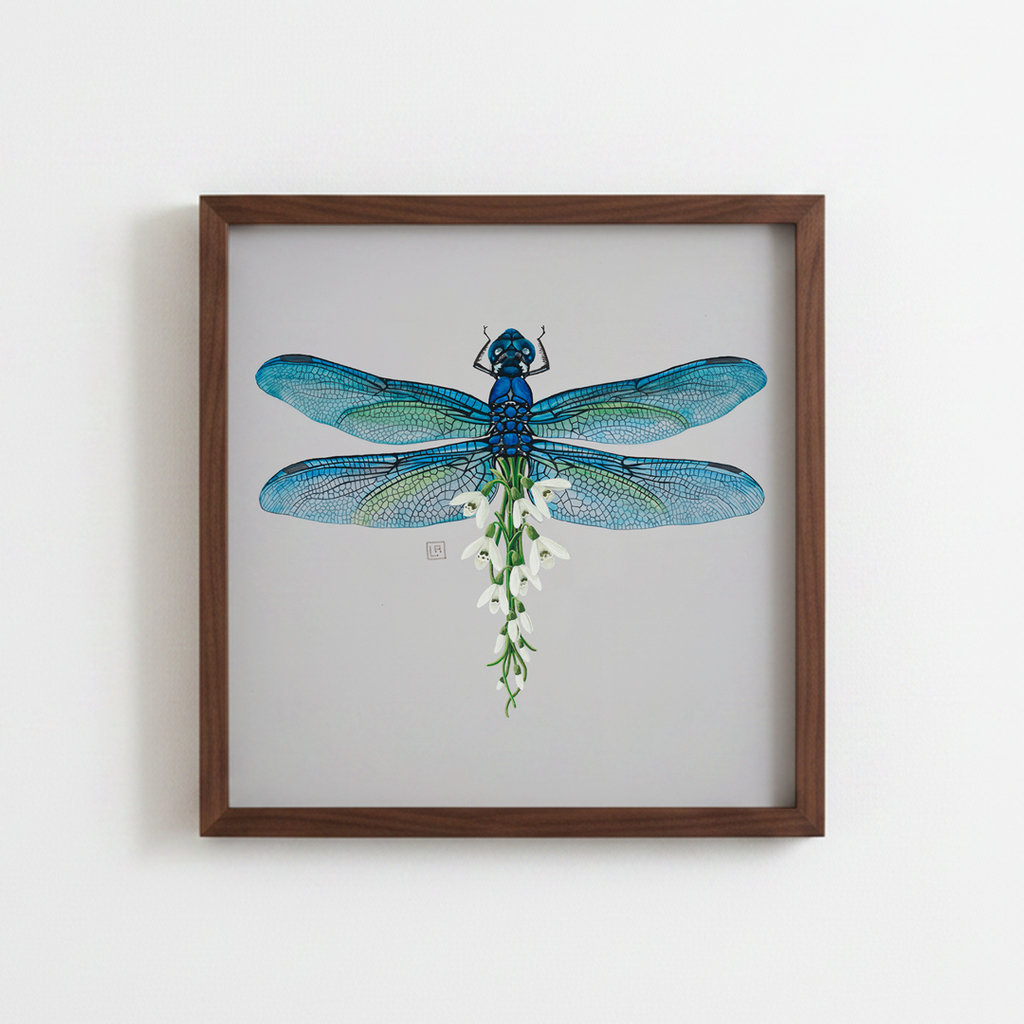 White Snowdrop + Blue Dragonfly (art print)