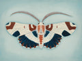 Blue and Brown Moth (art print)