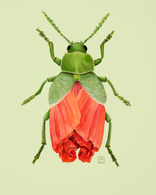 Illustration of a green leaf beetle with peach poppy flower body on a light green background.