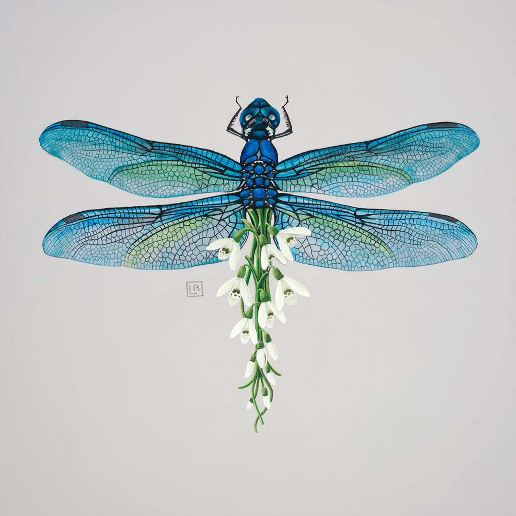 Acrylic painting of a blue dragonfly with an abdomen of white snowdrops.
