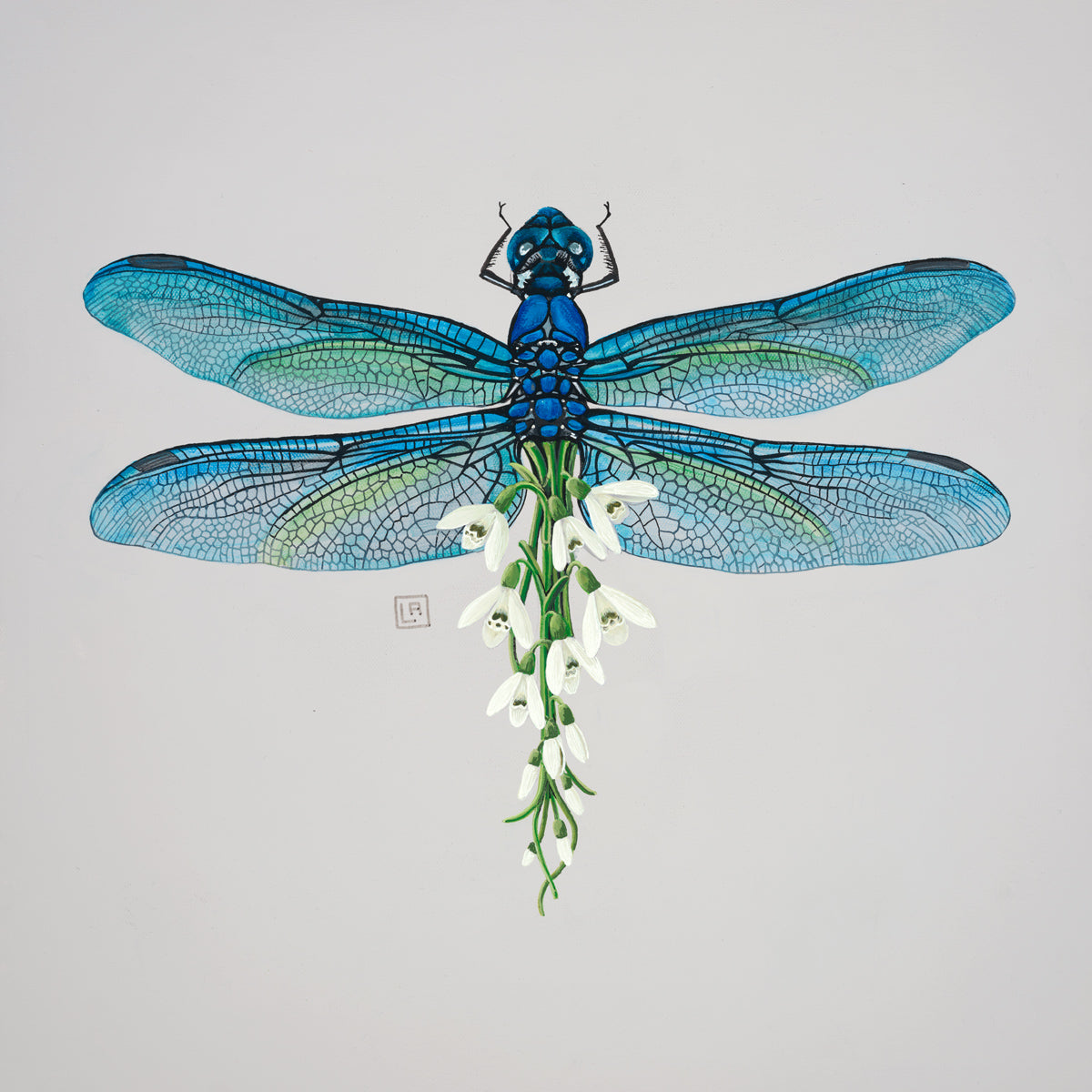 Acrylic painting of a blue dragonfly with an abdomen of white snowdrops.